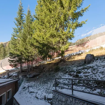 A Campiglio Sulle Piste Da Sci *